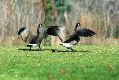 First Day, New Job, Now What?